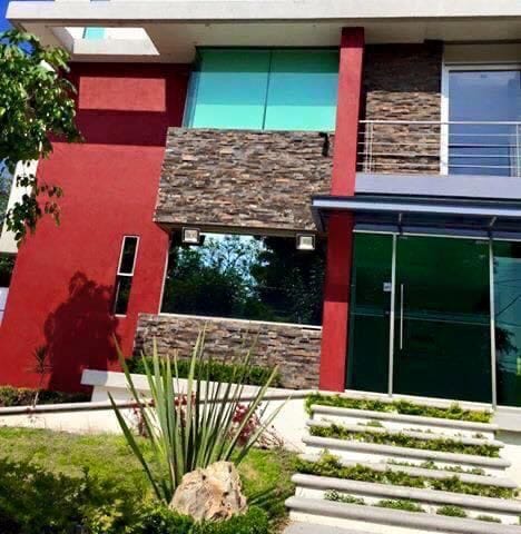 Tiritas oreja de elefante